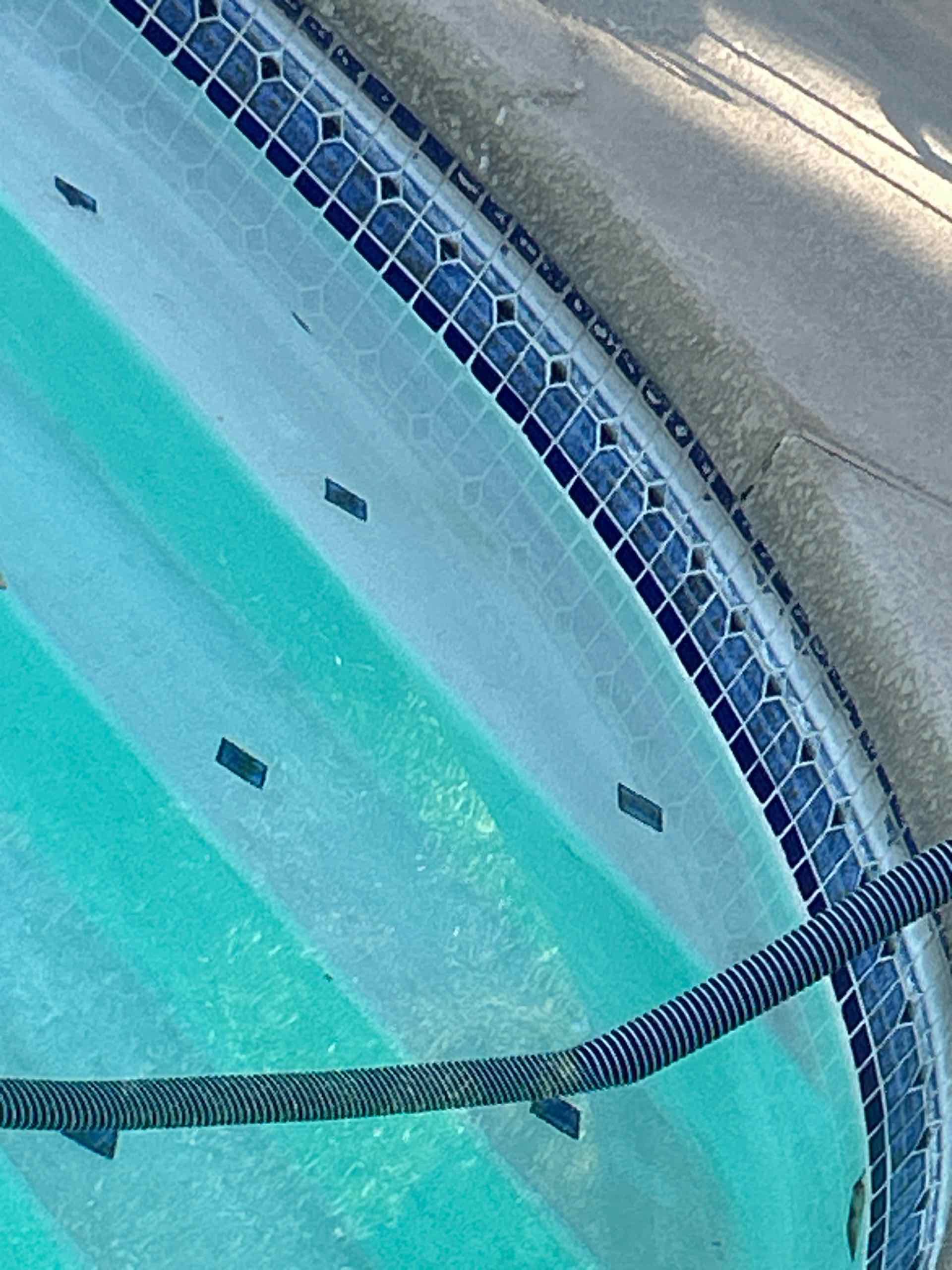 Swimming pool with curved edge and hose.