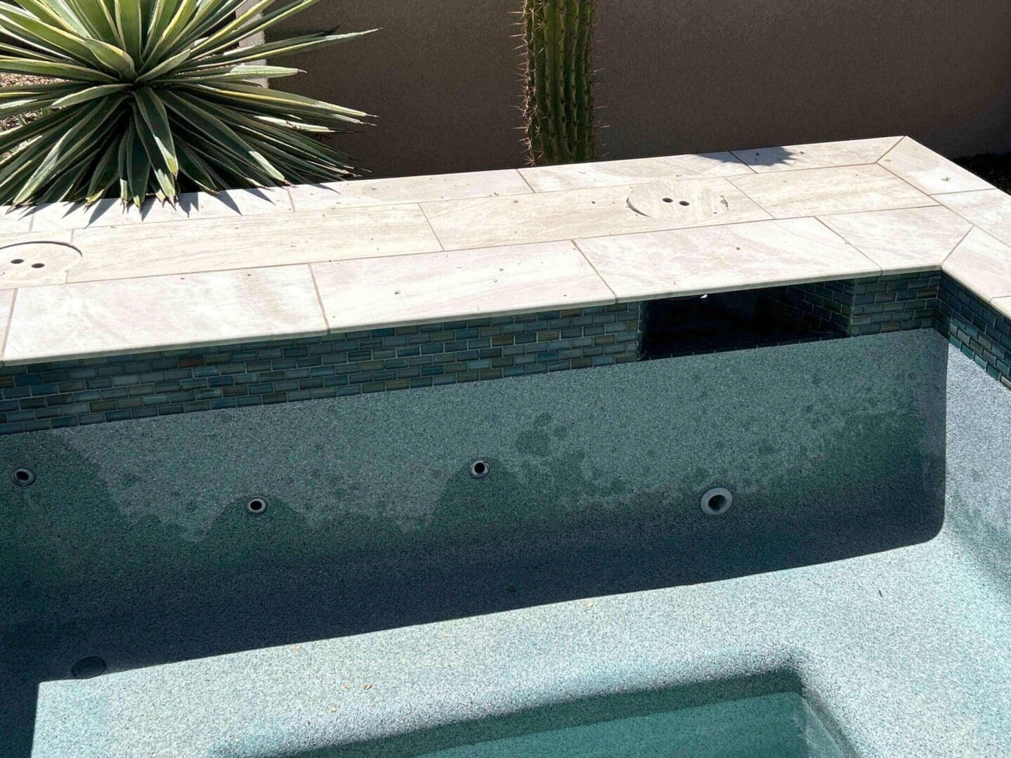 Empty pool with nearby desert plants.