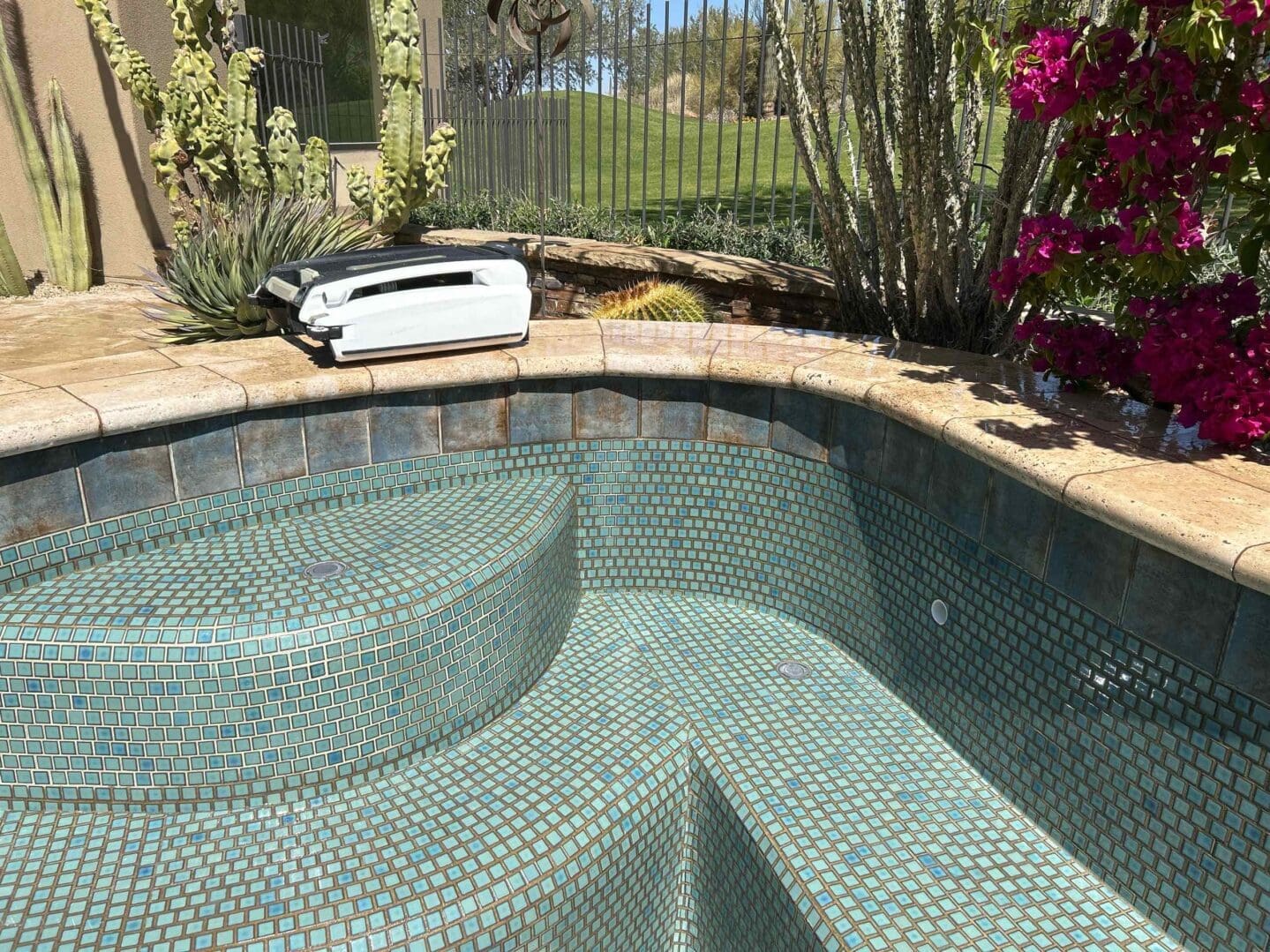 Empty mosaic-tiled pool with garden view.